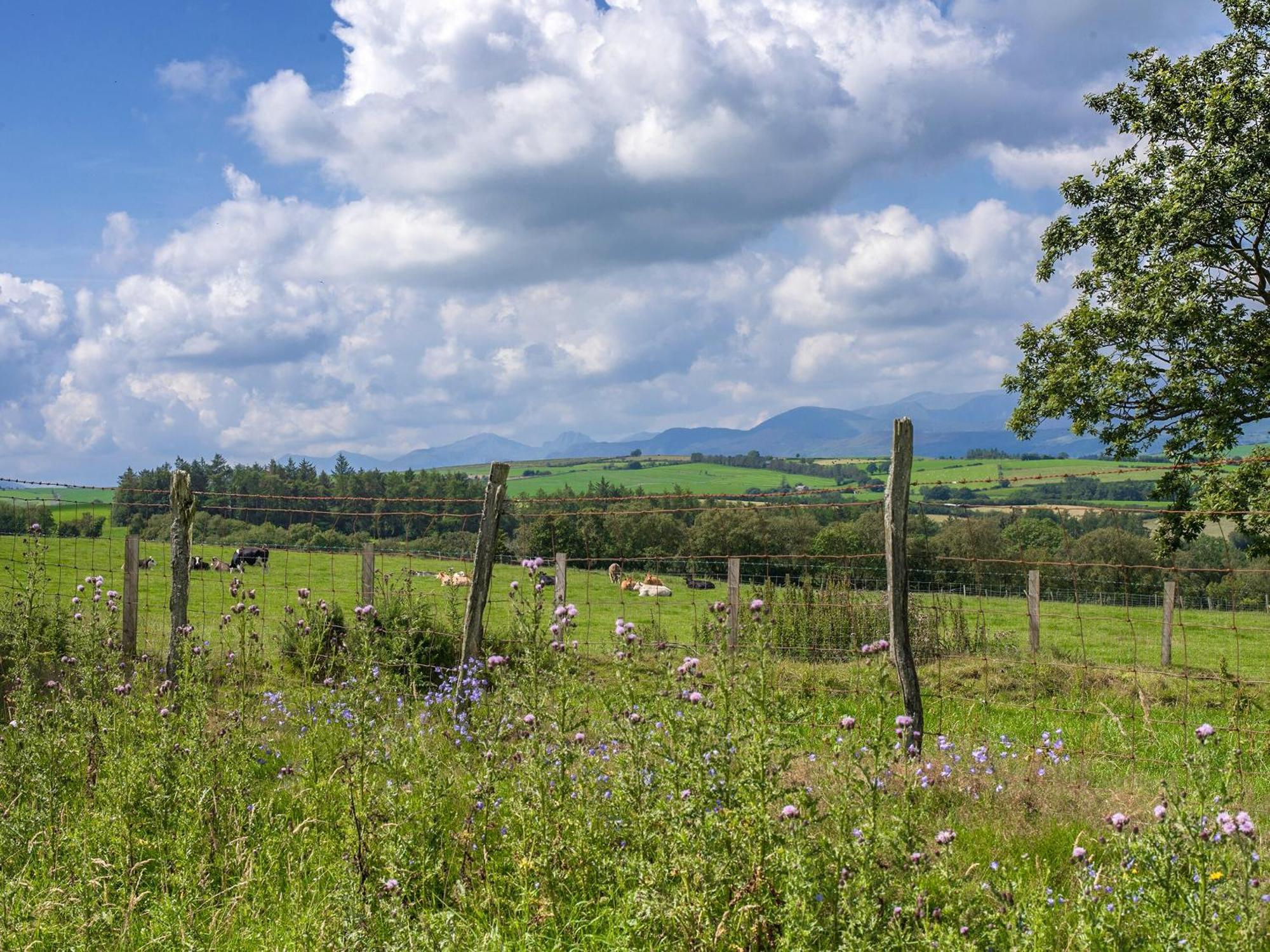 LlangerniewDol Y Mynydd The Mountain Meadow-Qu7521别墅 外观 照片