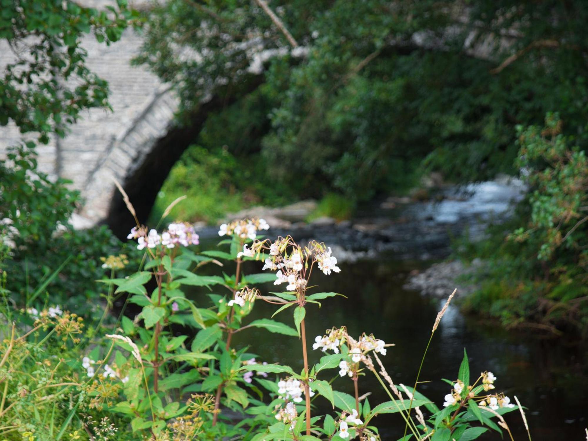 LlangerniewDol Y Mynydd The Mountain Meadow-Qu7521别墅 外观 照片